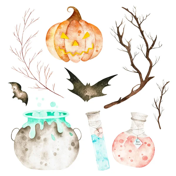 Este conjunto de halloween incluiu caldeirão mágico, garrafas de poção, morcegos, galhos e abóbora louca . — Fotografia de Stock