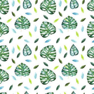 Suluboya tropikal desensiz. 