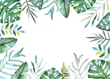 Tropikal bitki koleksiyonu. Suluboya çerçeve. 