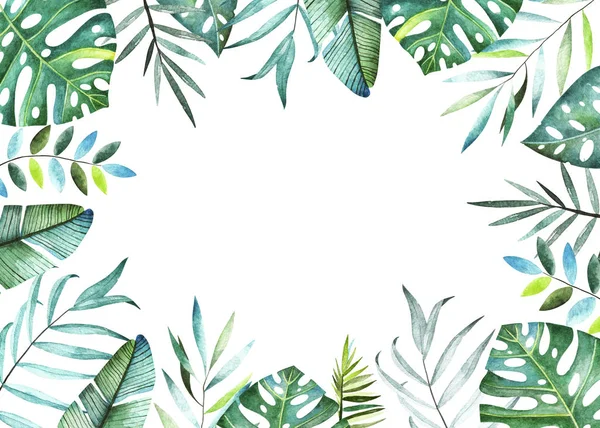 Tropical plants collection. Watercolor frame. — Stock Photo, Image
