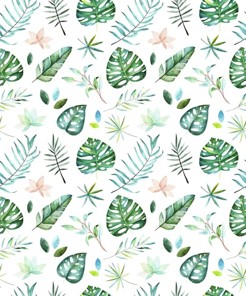 Suluboya tropikal desensiz. 