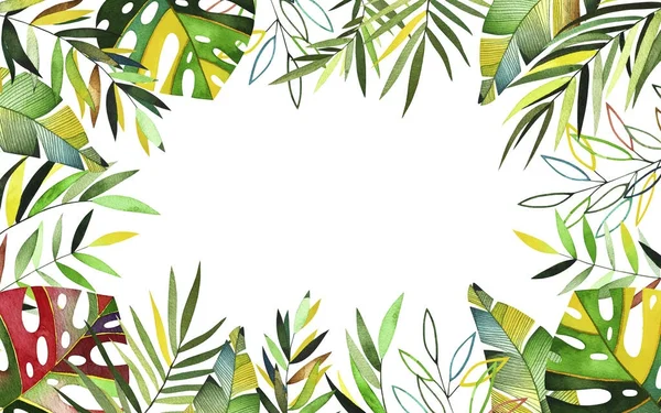 Akvarell tropic ram. — Stockfoto