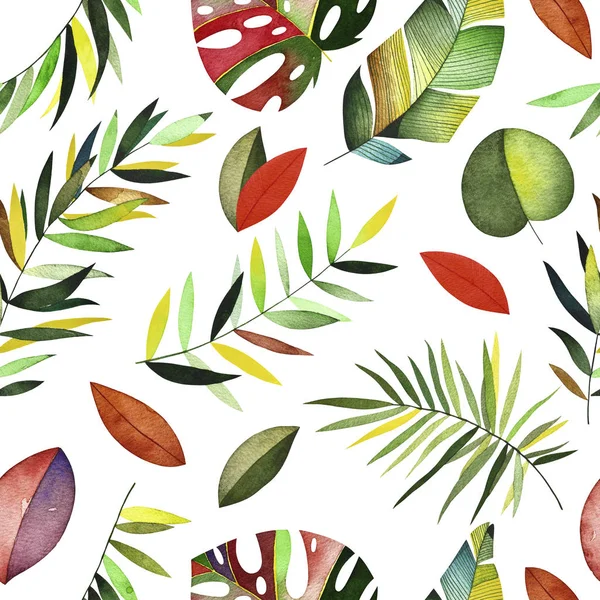 Suluboya tropikal desensiz. 