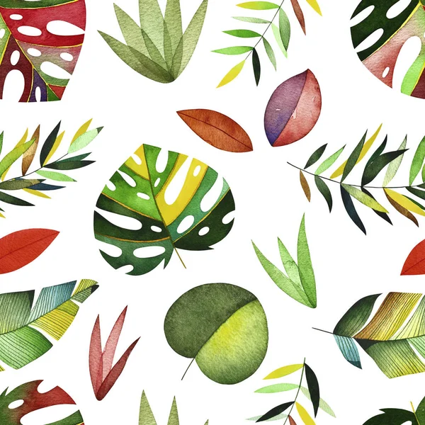 Suluboya tropikal desensiz. 