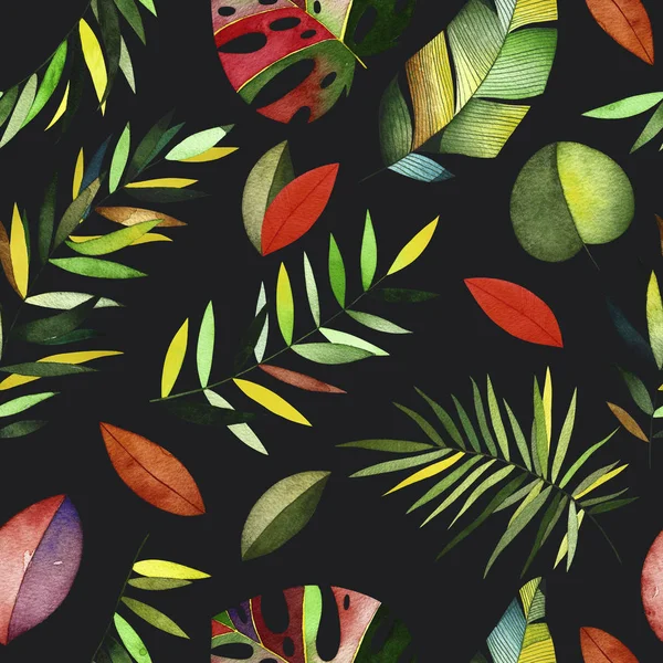 Suluboya tropikal desensiz. 