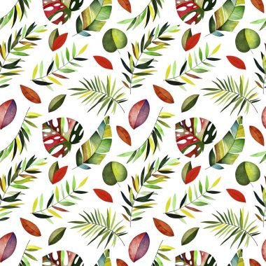 Suluboya tropikal desensiz.