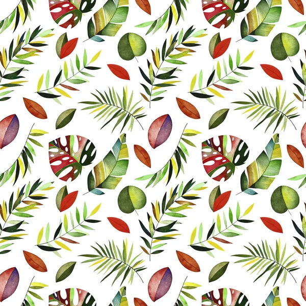 Suluboya tropikal desensiz.