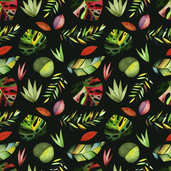 Suluboya tropikal desensiz.