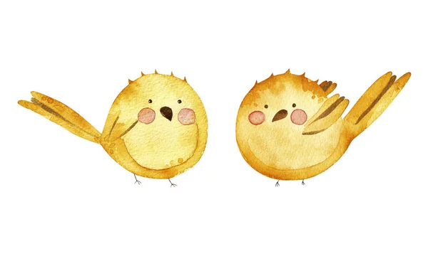 Suluboya bahar koleksiyonu. 