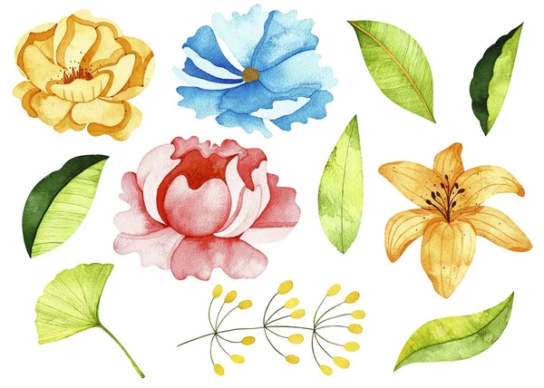 Suluboya bahar koleksiyonu. 