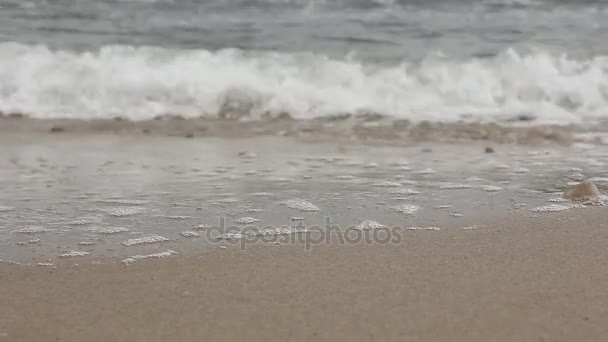 Ondas em uma praia de areia — Vídeo de Stock