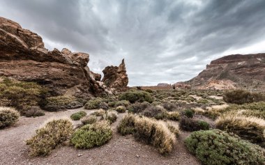 Tenerife adasında Vadisi