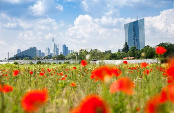 Miasto Frankfurt z pole Maków — Zdjęcie stockowe