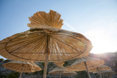 plaj şemsiyeleri closeup görünümü