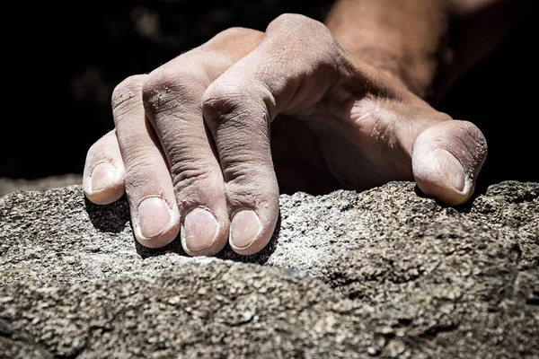 grip bölümünün holding