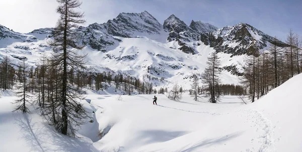 Man Trektochten Door Winter Besneeuwde Bergen Italiaanse Alpen — Stockfoto