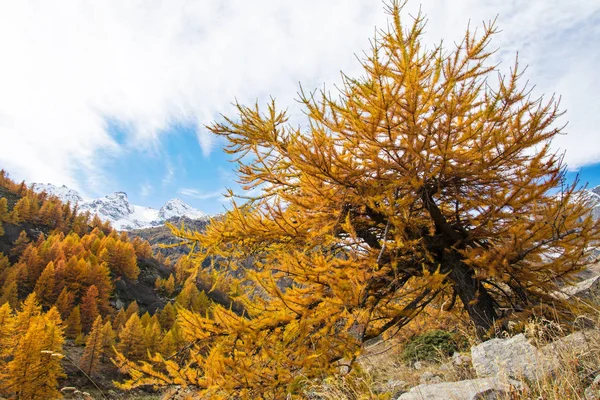 Scenic Autumn Mountains Landscape Gran Paradiso National Park Italy — Stock Photo, Image