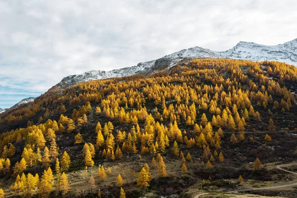 Живописный Осенний Пейзаж Гор Национальный Парк Гран Парадизо Италия — стоковое фото
