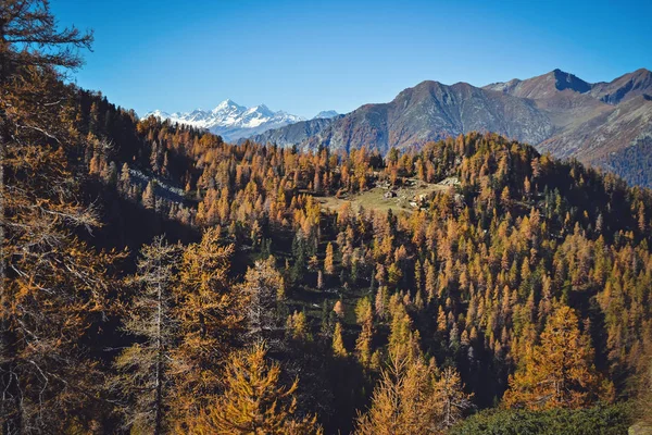 Manzaralı Sonbahar Dağları Manzarası Aosta Vadisi Talya — Stok fotoğraf