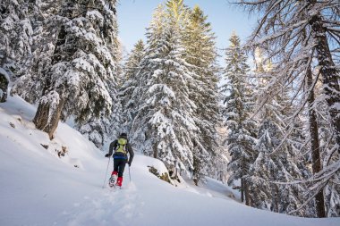Güneşli bir günde kış yürüyüşü. Gran Paradiso Ulusal Parkı, İtalya