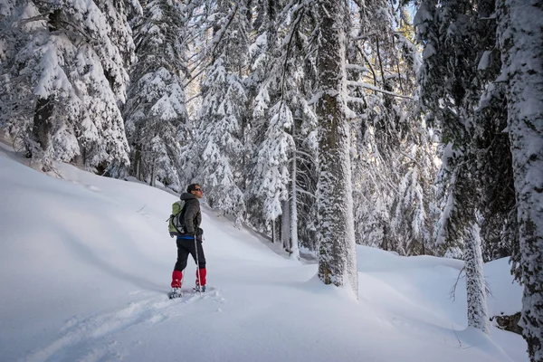 Wintertrekking Een Prachtige Zonnige Dag Nationaal Park Gran Paradiso Italië — Stockfoto
