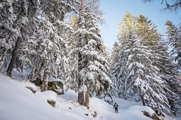 Зимние Походы Прекрасный Солнечный День Национальный Парк Гран Парадизо Италия — стоковое фото