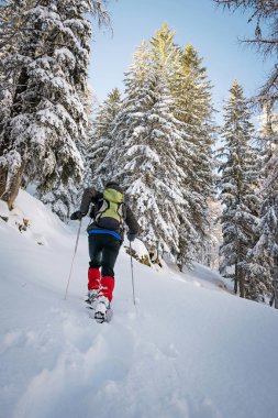 Güneşli bir günde kış yürüyüşü. Gran Paradiso Ulusal Parkı, İtalya