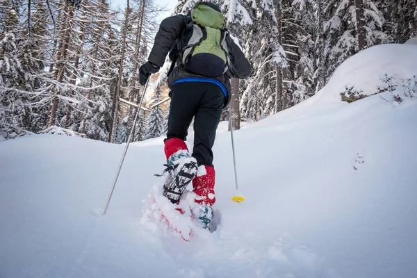 冬季风景与山地人的足迹在阳光下 意大利阿尔卑斯山 — 图库照片
