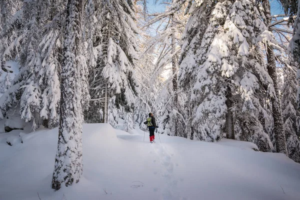 Paisagem Inverno Com Trilhas Montanhosas Sol Alpes Italianos — Fotografia de Stock
