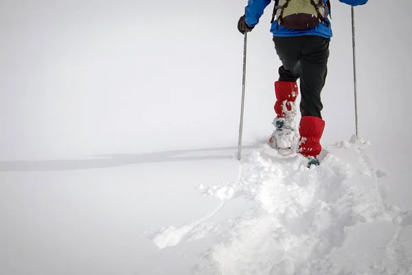 Zimowy Trekking Piękny Słoneczny Dzień Alpy Włoskie — Zdjęcie stockowe