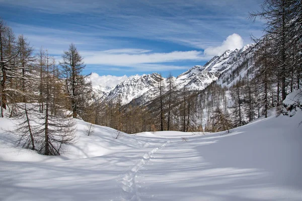 Paysage Hivernal Avec Pistes Alpinistes Par Une Belle Journée Ensoleillée — Photo