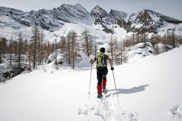 Winter Landscape Mountaineer Tracks Beautiful Sunny Day Gran Paradiso National — Stock Photo, Image