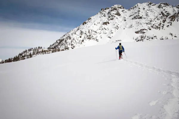 Winterwandern Einem Schönen Sonnigen Tag Gran Paradiso Nationalpark Italien — Stockfoto