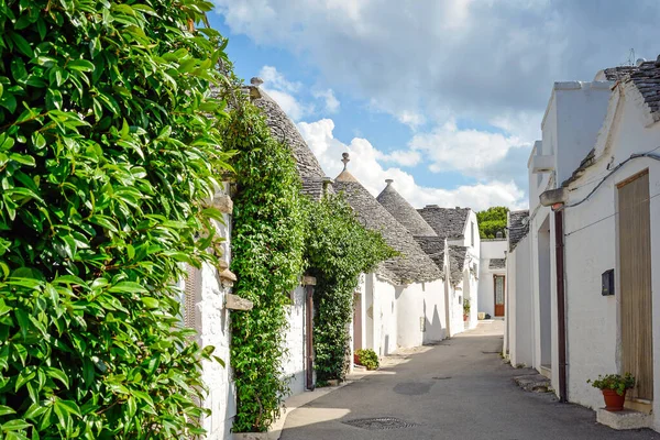 Trulli Von Alberobello Apulien Italien Typische Häuser Mit Trockenmauern Und — Stockfoto