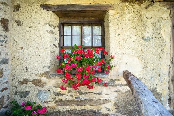 閉じるウィンドウの赤い開花鉢植えと古い山のシャレーの木製の窓のアップ アオスタ渓谷 イタリア — ストック写真