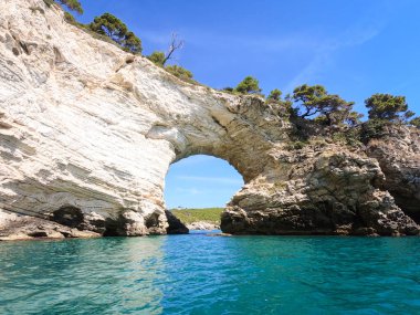 Vieste, San Felice kemer rock defne, Gargano Yarımadası, Apulia, Güney İtalya, Avrupa.