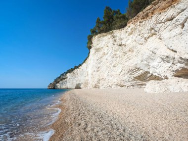 Sahilin panoramik manzarası ve Gargano yarımadasının beyaz kayalıkları. Apulia, İtalya.
