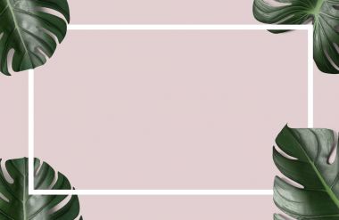 Yeşil tropikal beyaz kağıt çerçeveli, pembe arka plan bırakır.