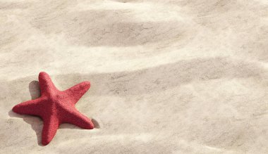 kum plajındaki kırmızı deniz yıldızı kopya alanı ile yakından