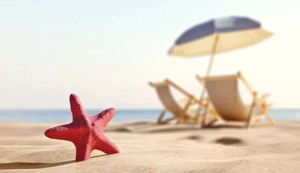 Rode Zeester Met Ligstoelen Met Paraplu Aan Zandstrand Van Kust — Stockfoto