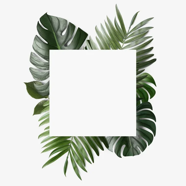 Lege Papieren Kaart Met Groene Tropische Verlaat Geïsoleerd Witte Achtergrond — Stockfoto