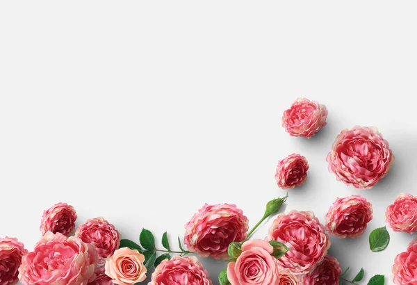 Mooie Roos Bloemen Geïsoleerd Witte Achtergrond — Stockfoto