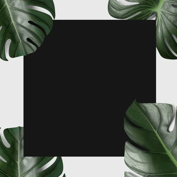 Чорна Паперова Картка Зеленим Тропічним Листям Ізольовано Білому Тлі — стокове фото