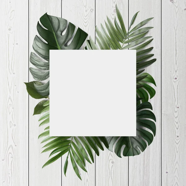 Prázdný Papír Karta Zelené Tropické Listy Dřevěné Pozadí — Stock fotografie