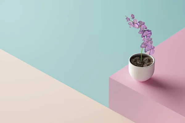 Рослина Фіолетовими Квітами Керамічному Горщику Кольоровому Геометричному Фоні — стокове фото