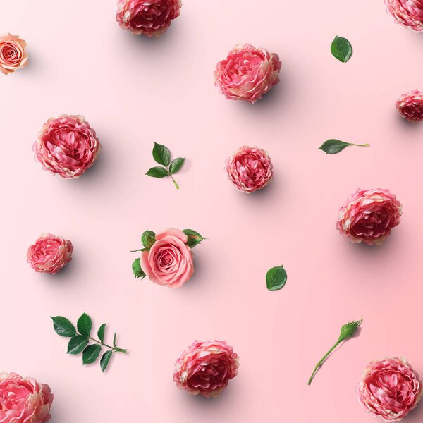 beautiful rose flowers with green leaves on pink background 