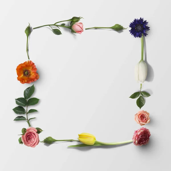 Szép Fényes Virágok Formájában Keret Elszigetelt Fehér Background — Stock Fotó