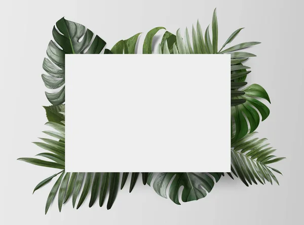 Carte Papier Vide Avec Feuilles Tropicales Vertes Isolées Sur Fond — Photo