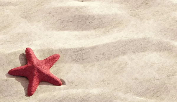 kum plajındaki kırmızı deniz yıldızı kopya alanı ile yakından