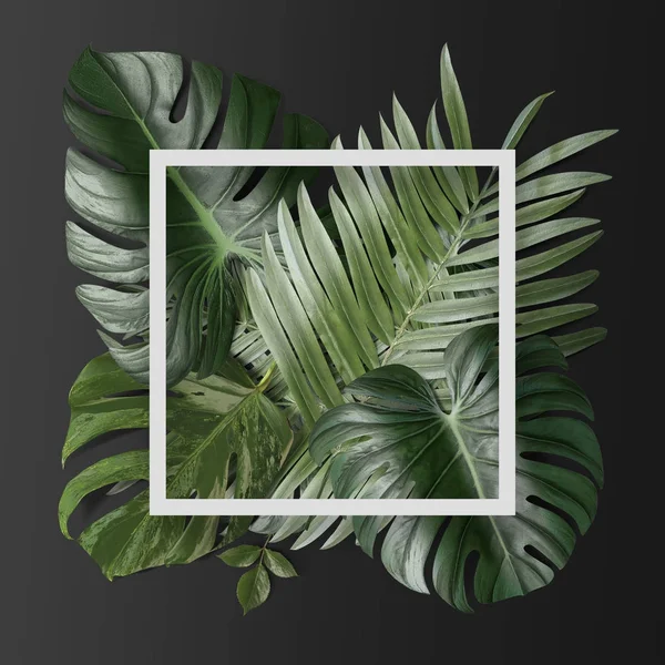 Зелене Тропічне Листя Білою Рамкою Паперу Сірому Фоні — стокове фото